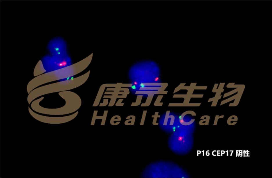 中国·拉斯维加斯(3499·官方认证)网站-Officialwebsite